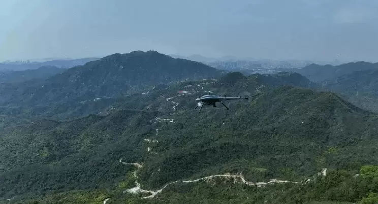 أكثر من 3000 ساعة من دورية الغابات، طائرات السنونو الأرجوانية تبني جدار حماية قوي للغابات