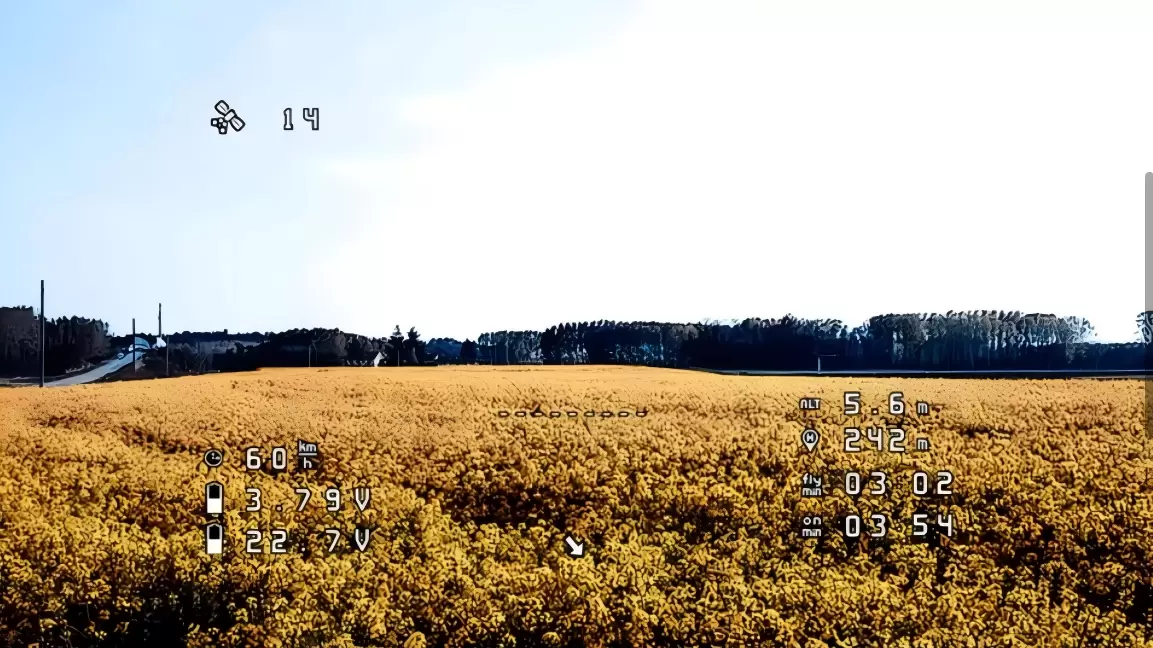 كادكس راتيل برو