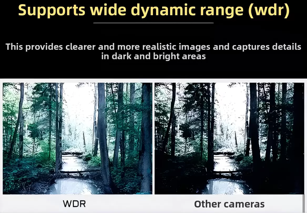 كادكس راتيل برو